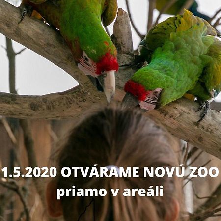 Penzion Eko Park Piestany Eksteriør billede